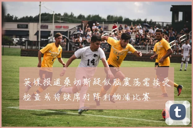 英媒报道桑切斯疑似脑震荡需接受检查或将缺席对阵利物浦比赛